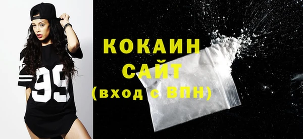 шишки Беломорск