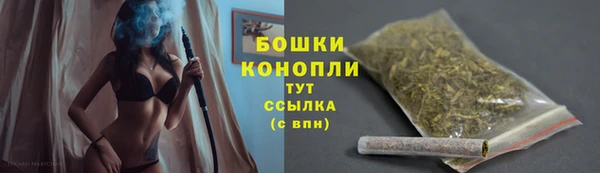 шишки Беломорск