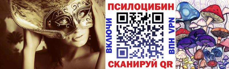 MEGA ТОР  Кузнецк  Галлюциногенные грибы мицелий 